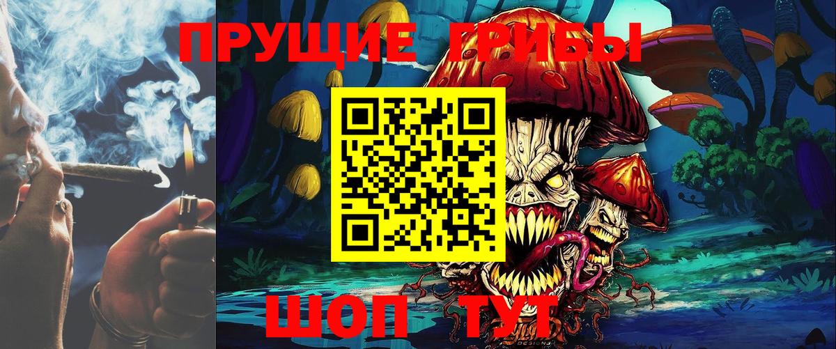 Верхняя Пышма  Галлюциногенные грибы MAGIC MUSHROOMS  Вход с VPN 