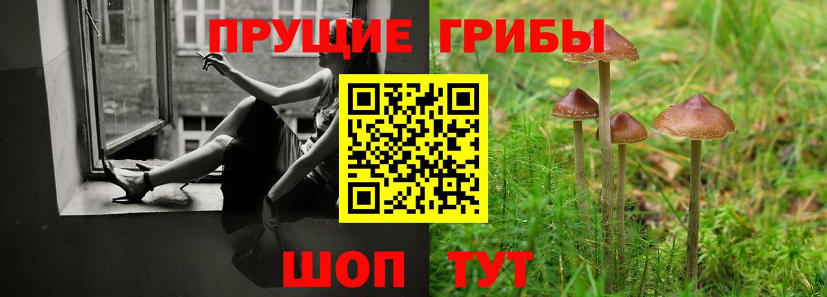 Галлюциногенные грибы мицелий Верхняя Пышма